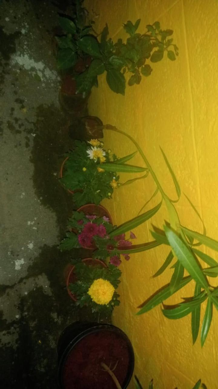 Mithu'S Nest-Ur Holiday Abode Coimbatore Bagian luar foto